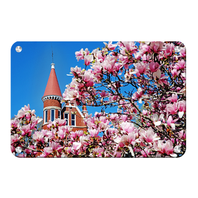 Ole Miss Rebels - Cherry Blossom Ventress - College Wall Art #Metal