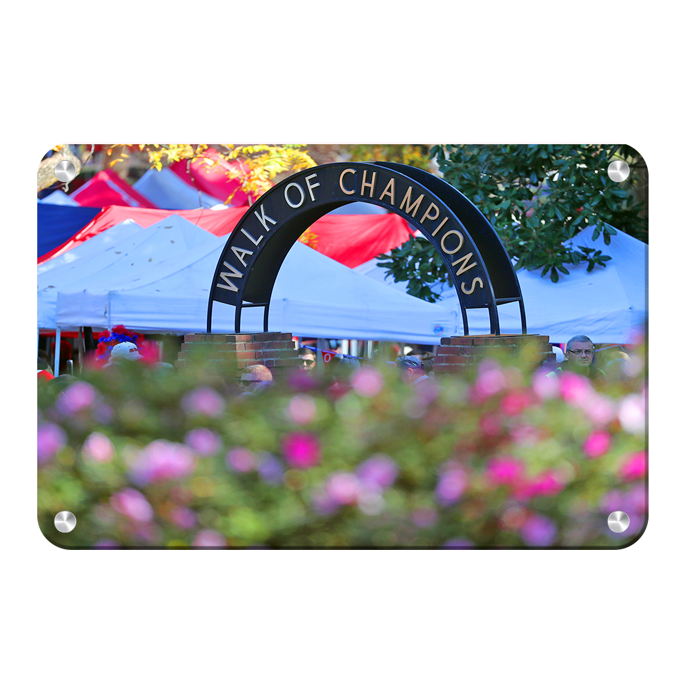 Ole Miss Rebels - Walk of Champions Up Close - College Wall Art #Canvas