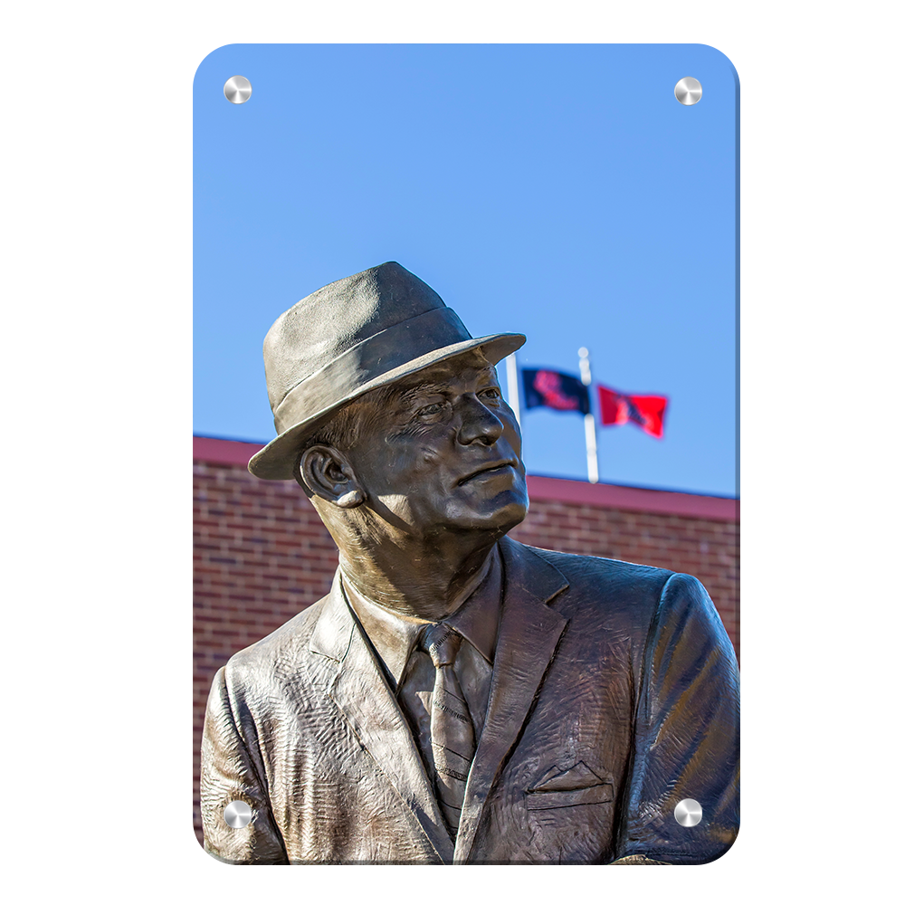 Ole Miss Rebels - Vaught - College Wall Art #Canvas