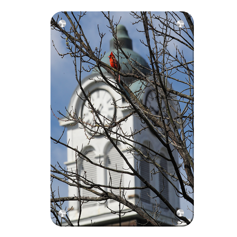 Ole Miss Rebels - Oxford Cardinal - College Wall Art #Canvas