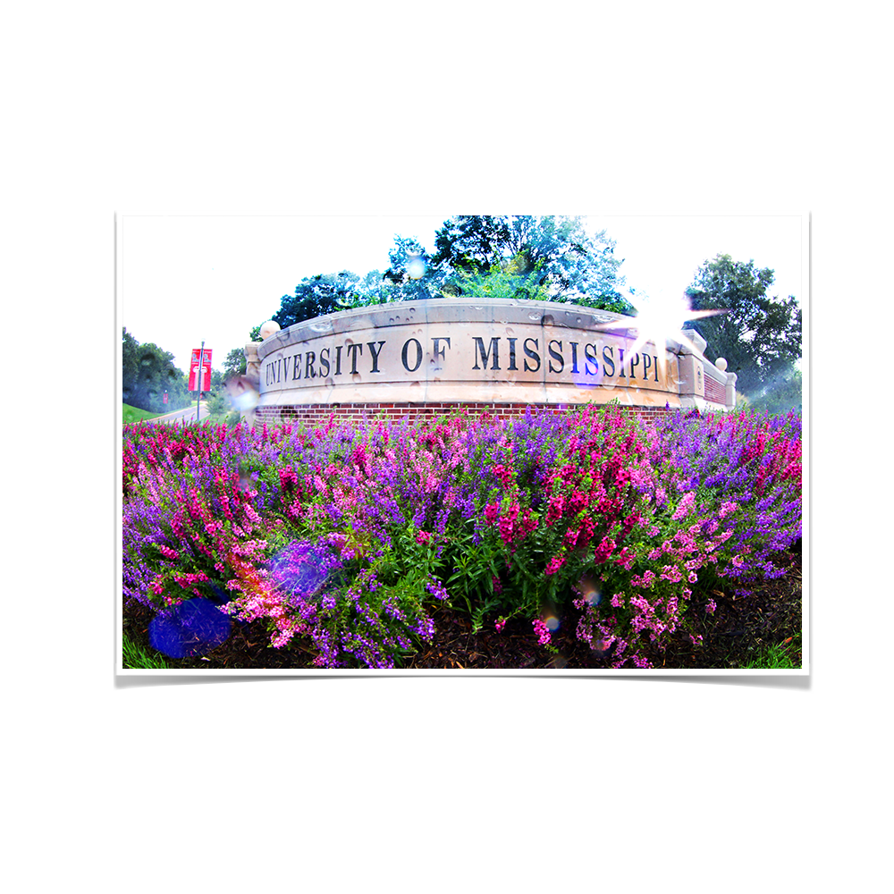 Ole Miss Rebels - University of Mississippi - College Wall Art #Canvas