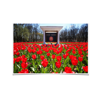 Ole Miss Rebels - Spring Flowers - College Wall Art #Poster