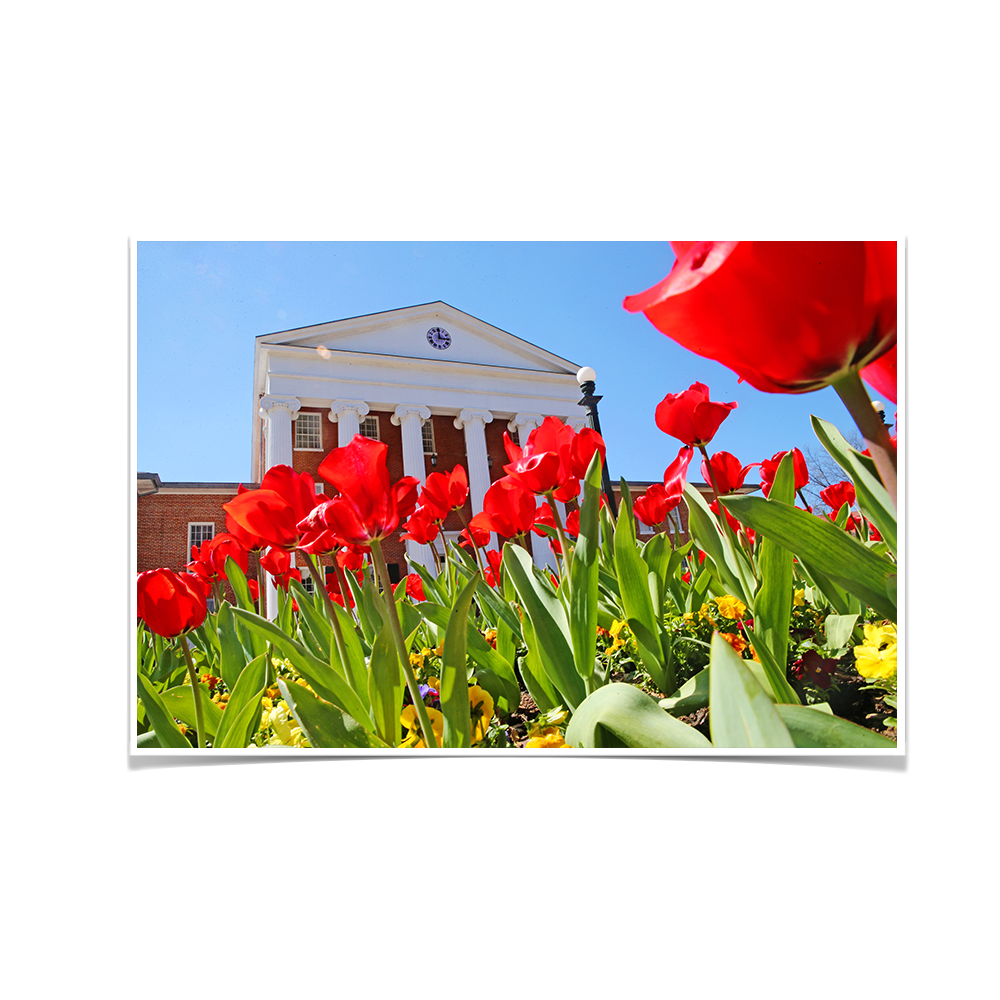 Ole Miss Rebels - Spring Lyceum - College Wall Art #Canvas