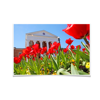 Ole Miss Rebels - Spring Lyceum - College Wall Art #Poster