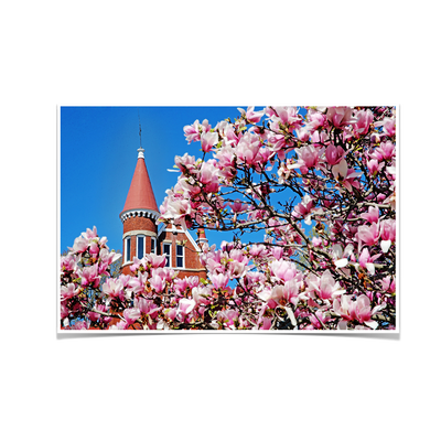 Ole Miss Rebels - Cherry Blossom Ventress - College Wall Art #Poster