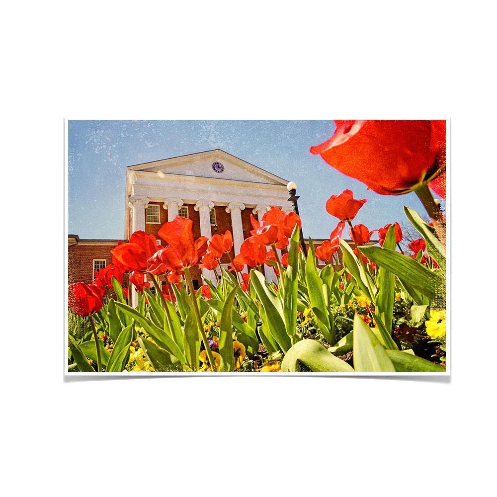 Ole Miss Rebels - Lyceum Grand Tulip Paint - College Wall Art #Canvas