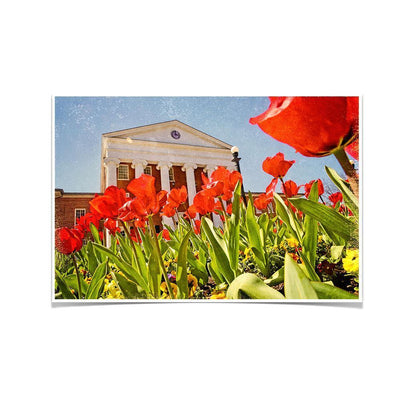 Ole Miss Rebels - Lyceum Grand Tulip Paint - College Wall Art #Poster