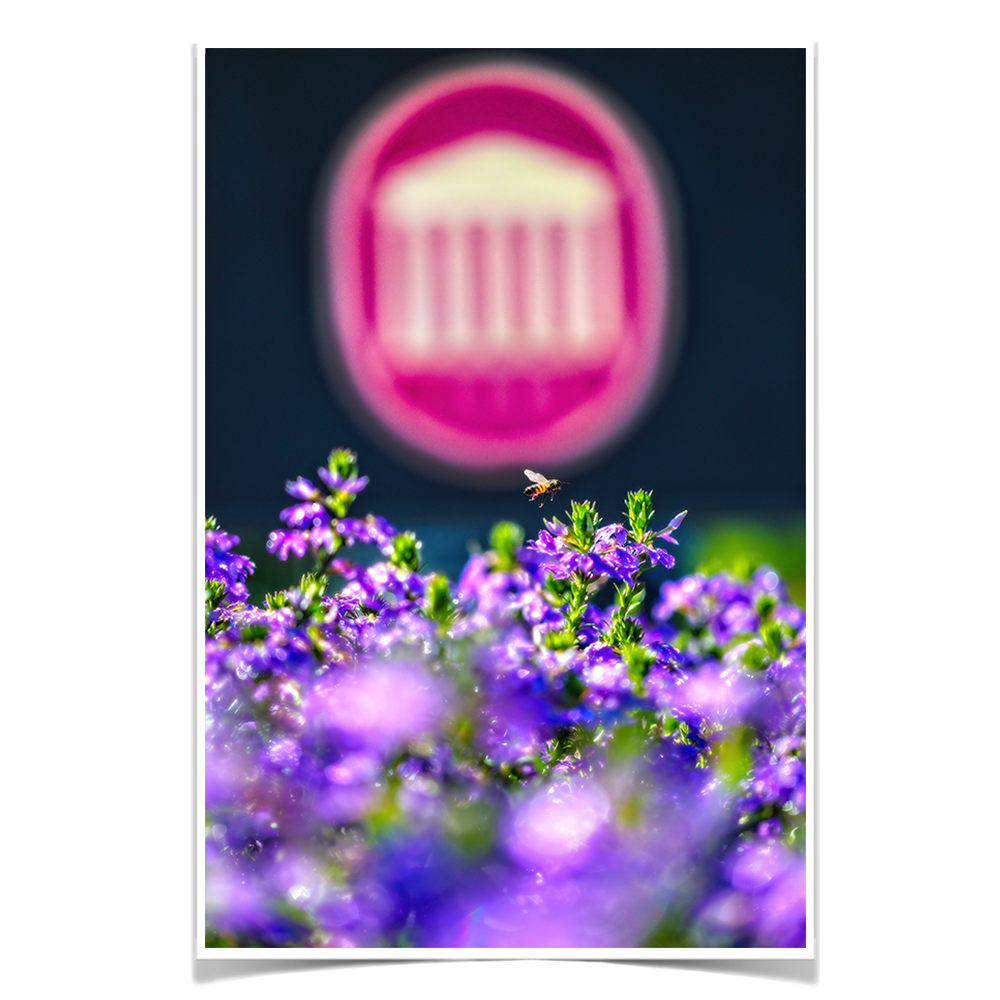 Ole Miss Rebels - Ole Miss Honey Bee -College Wall Art #Canvas