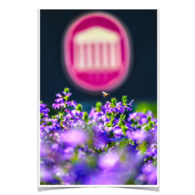 Ole Miss Rebels - Ole Miss Honey Bee -College Wall Art #Poster