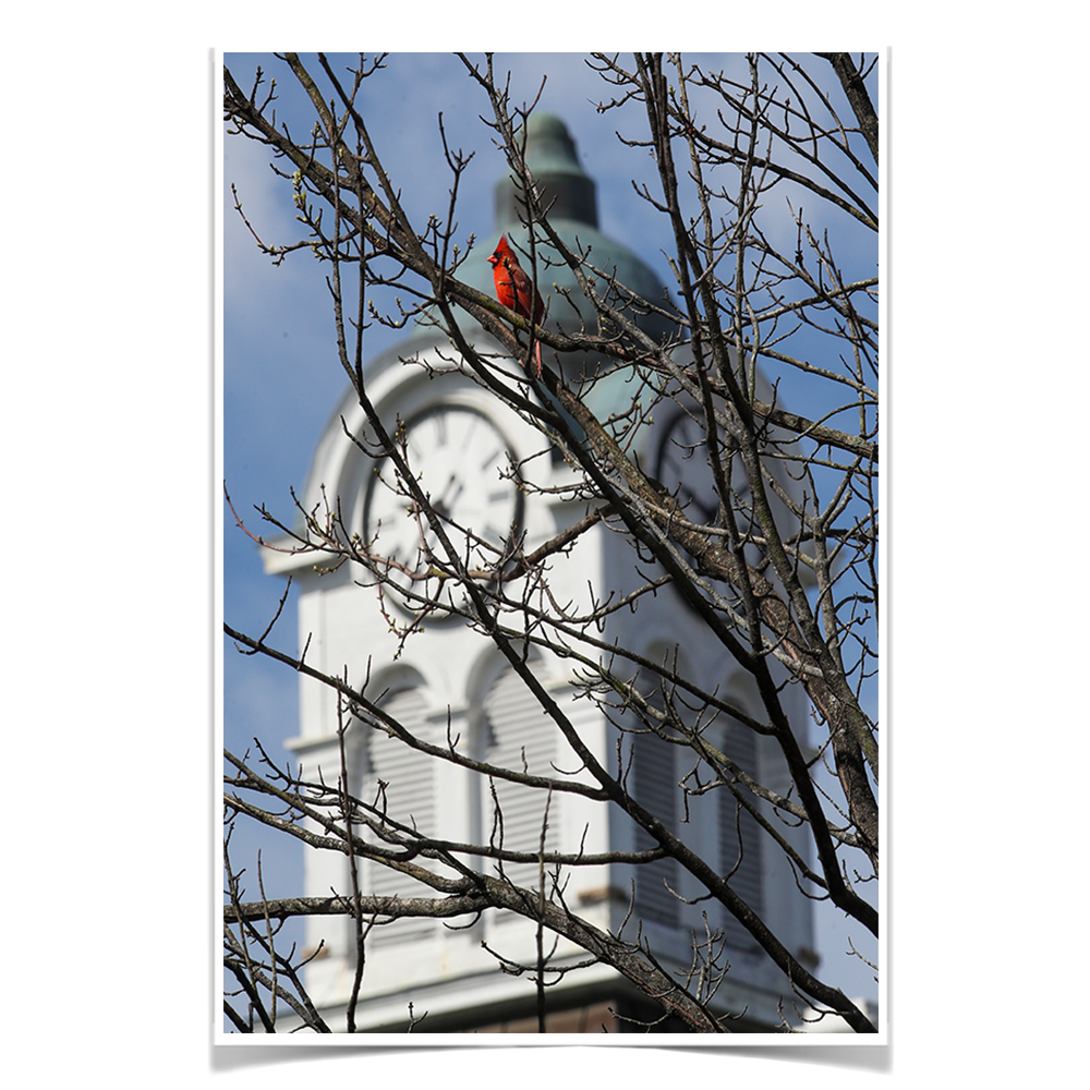 Ole Miss Rebels - Oxford Cardinal - College Wall Art #Canvas