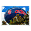 Ole Miss Rebels - Water Tower Magnolia - College Wall Art #Poster