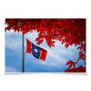 Ole Miss Rebels - Fall Magnolia State Flag - College Wall Art #Poster