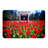 Ole Miss Rebels - Spring Flowers - College Wall Art #C