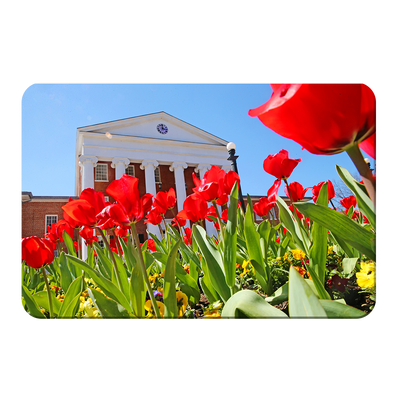 Ole Miss Rebels - Spring Lyceum - College Wall Art #PVC