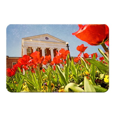 Ole Miss Rebels - Lyceum Grand Tulip Paint - College Wall Art #PVC