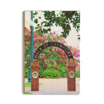 Ole Miss Rebels - Spring Walk of Champions - College Wall Art #Wood