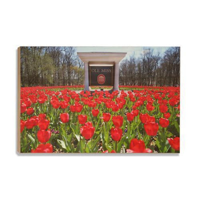 Ole Miss Rebels - Spring Flowers - College Wall Art #Wood