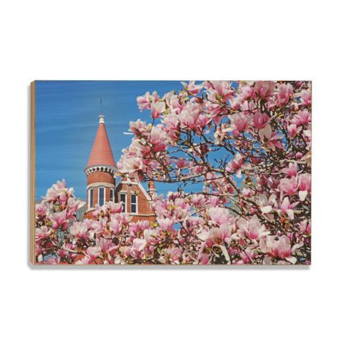 Ole Miss Rebels - Cherry Blossom Ventress - College Wall Art