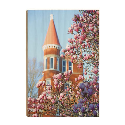 Ole Miss Rebels - Spring at Ole Miss - College Wall Art #Wood