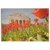 Ole Miss Rebels - Lyceum Grand Tulip Paint - College Wall Art #Wood