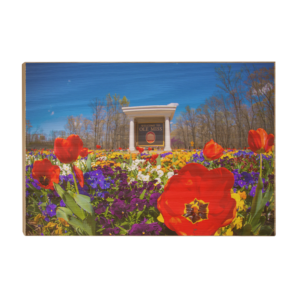 Ole Miss Rebels - 2021 Tulip Circle - College Wall Art #Canvas