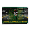 North Dakota State Bison - Thundar's North Dakota State Bison - College Wall Art #Acrylic