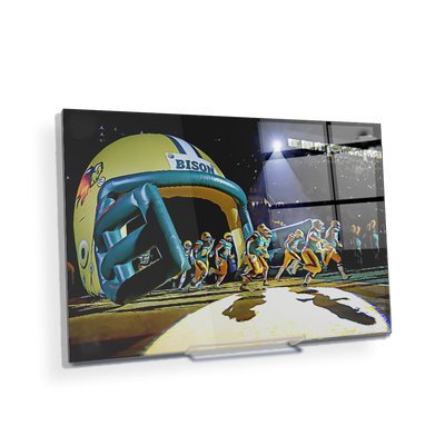 North Dakota State Bisons - Enter Bison Oil Painting - College Wall Art #Acrylic Mini