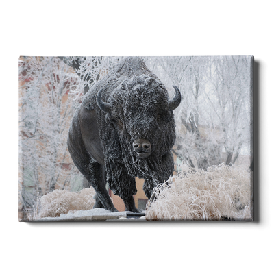 North Dakota State Bisons - Bison Snow - College Wall Art #Canvas