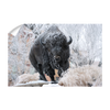 North Dakota State Bisons - Bison Snow - College Wall Art #Wall Decal