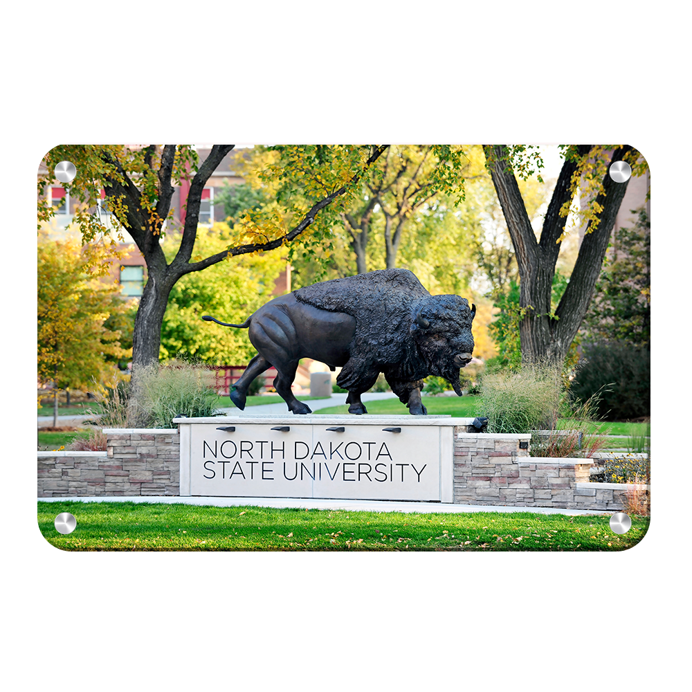 North Dakota State Bisons - North Dakota State University - College Wall Art #Canvas