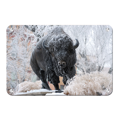 North Dakota State Bisons - Bison Snow - College Wall Art #Metal