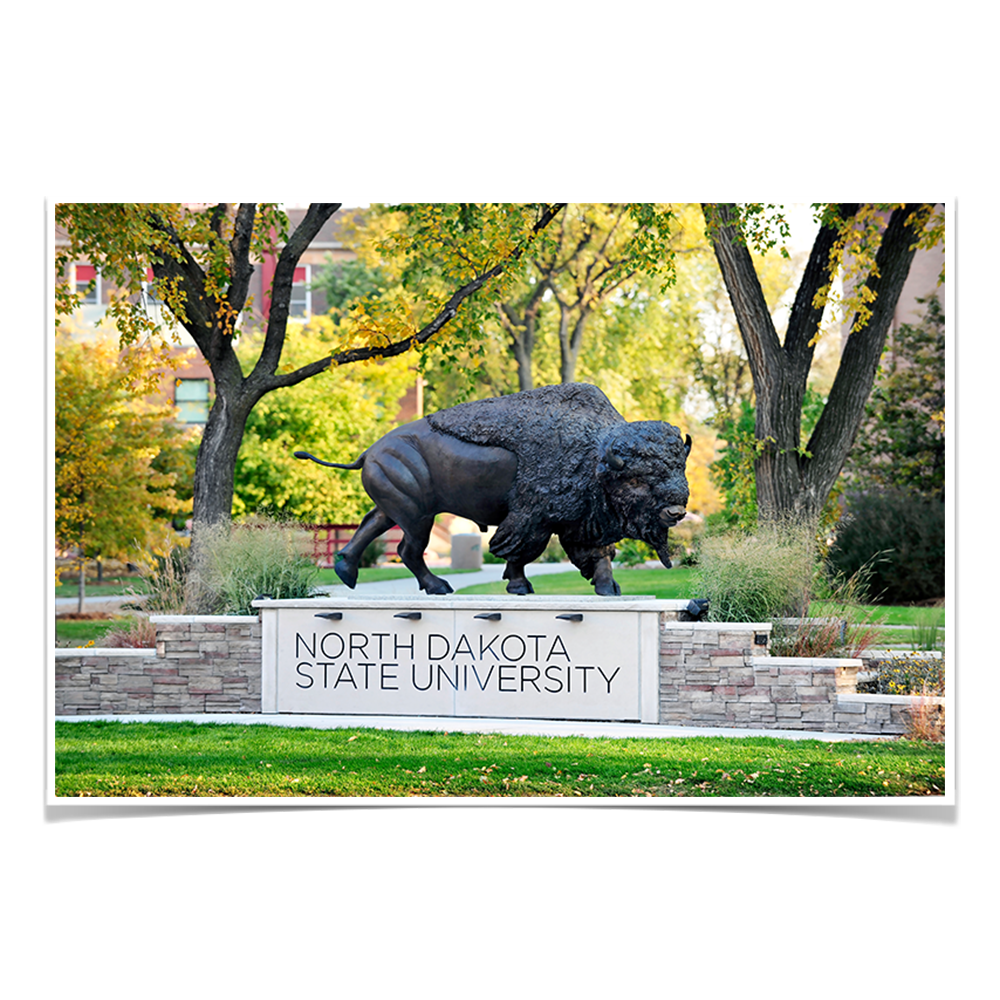 North Dakota State Bisons - North Dakota State University - College Wall Art #Canvas