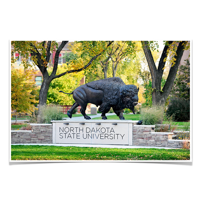 North Dakota State Bisons - North Dakota State University - College Wall Art #Poster