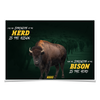 North Dakota State Bison - For the Strength of the Herd - College Wall Art #Poster