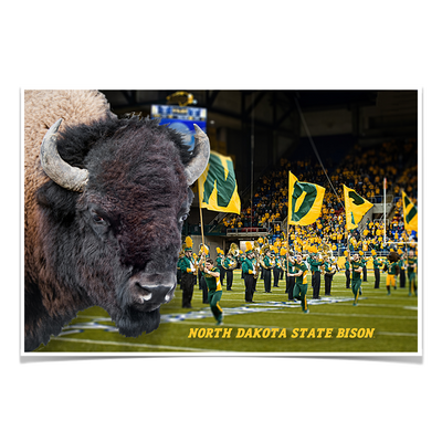 North Dakota State Bisons - Bison - College Wall Art #Poster
