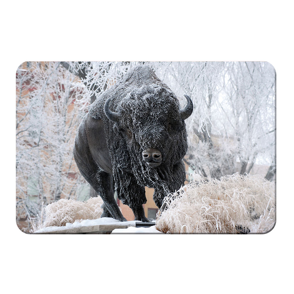 North Dakota State Bisons - Bison Snow - College Wall Art #Canvas