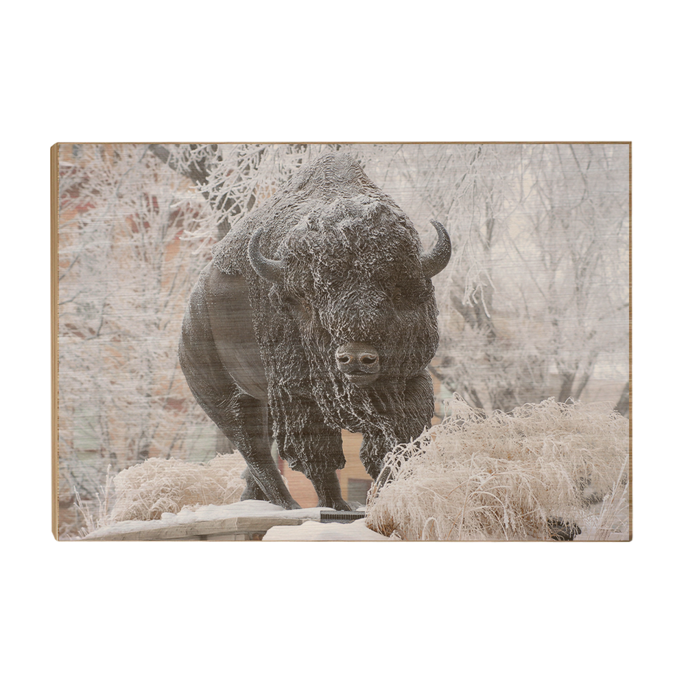 North Dakota State Bisons - Bison Snow - College Wall Art #Canvas