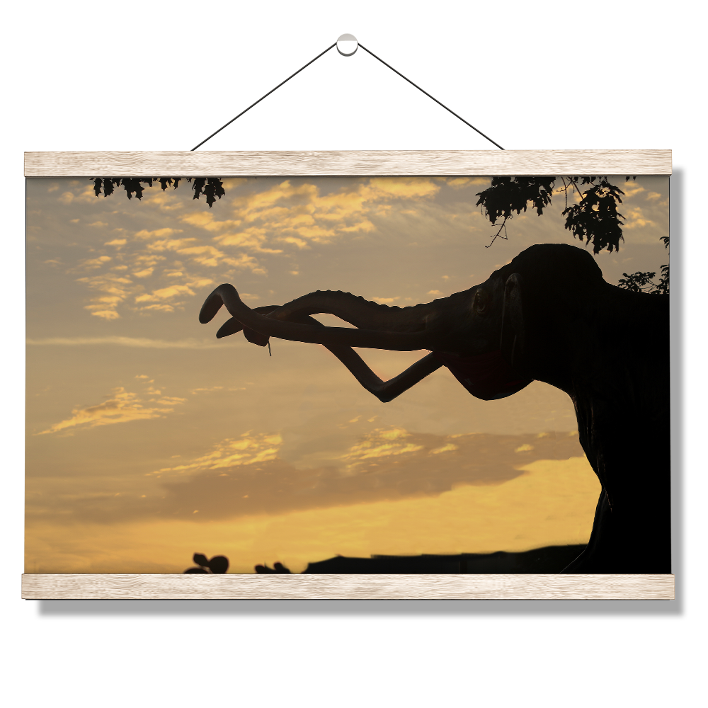 Nebraska Cornhuskers - Archie Sunrise - College Wall Art #Canvas