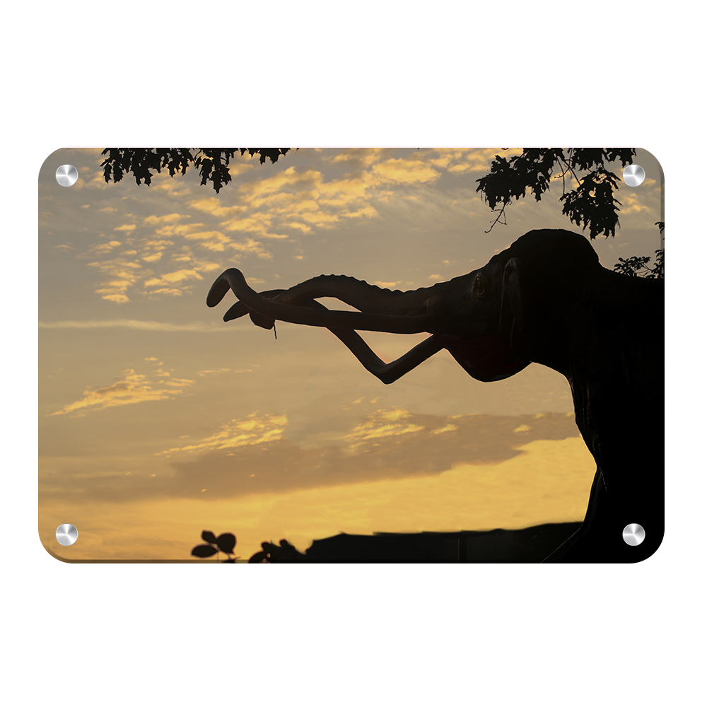 Nebraska Cornhuskers - Archie Sunrise - College Wall Art #Canvas