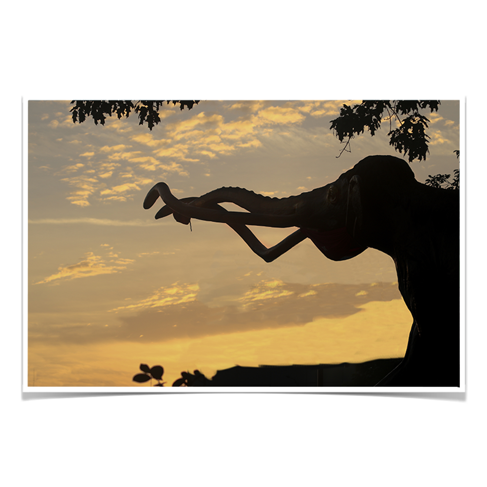 Nebraska Cornhuskers - Archie Sunrise - College Wall Art #Canvas