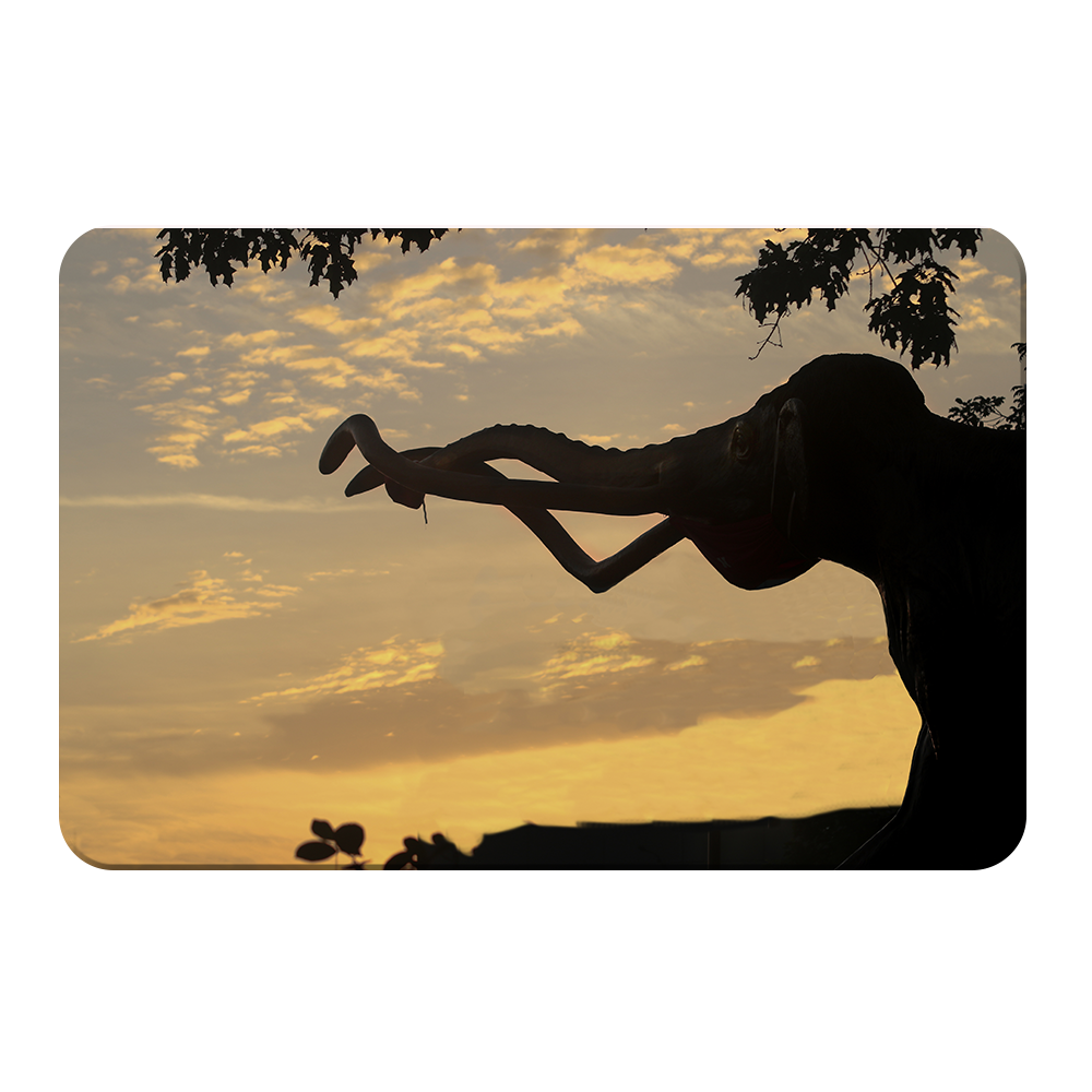 Nebraska Cornhuskers - Archie Sunrise - College Wall Art #Canvas