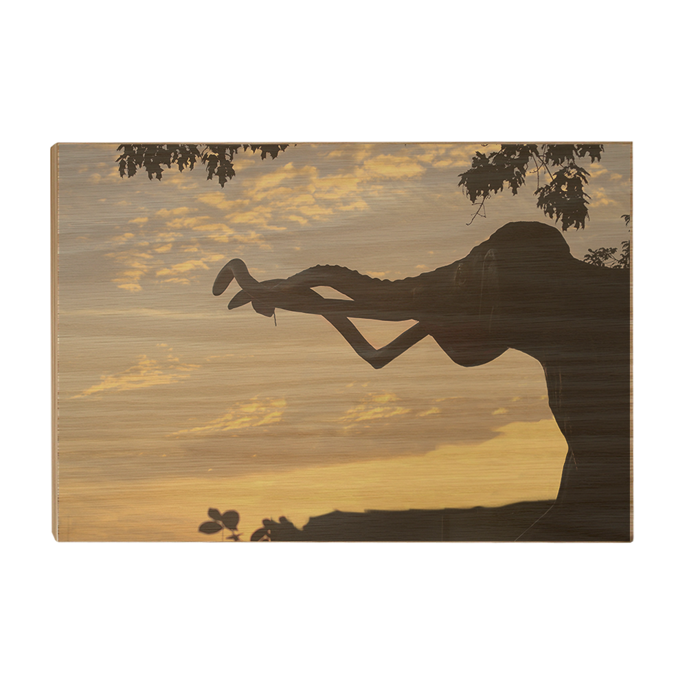 Nebraska Cornhuskers - Archie Sunrise - College Wall Art #Canvas