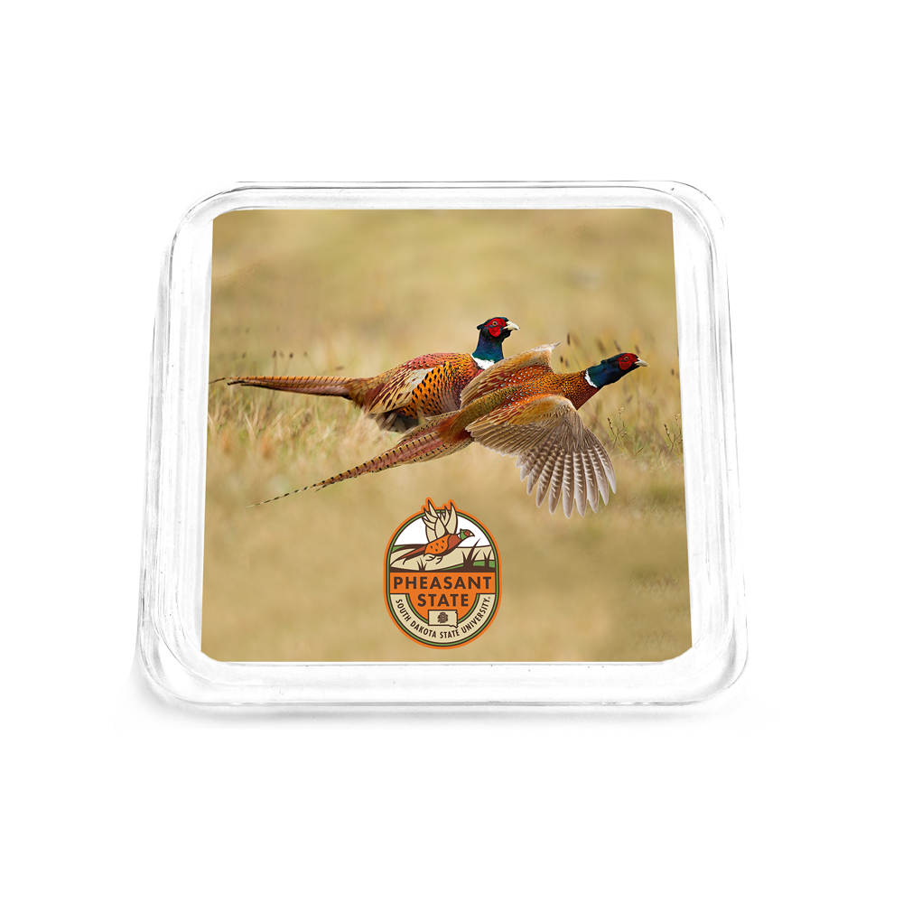 South Dakota State Jackrabbits - Pheasant state Pheasant Drink Coaster