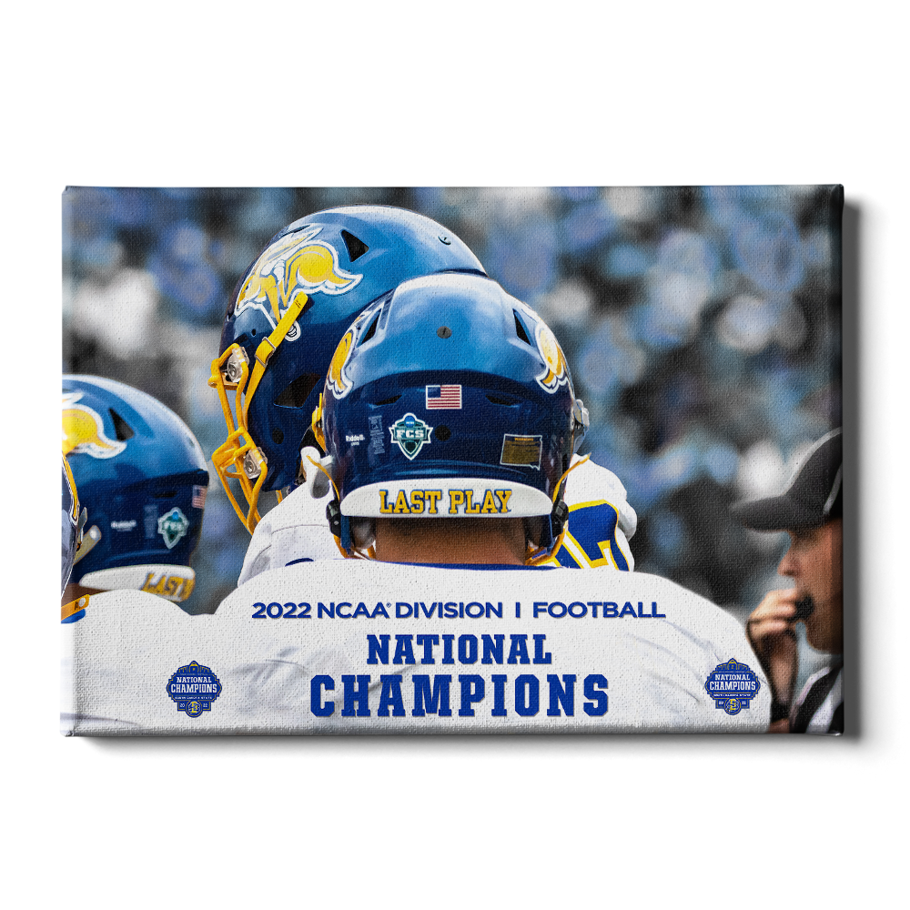 South-Dakota-State-Jackrabbits-SDSU-National-Champions-Checkerboard-End-Zone  - College Wall Art