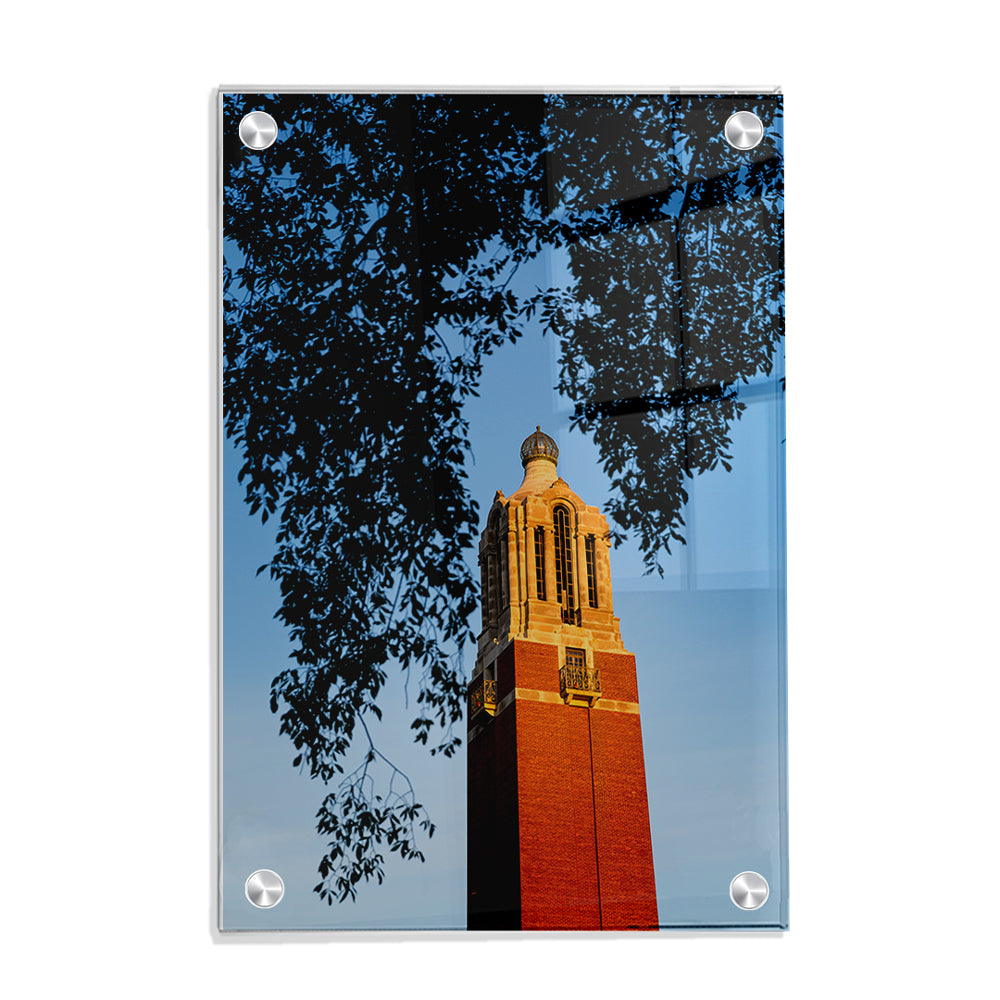 South Dakota State Jackrabbits - Coughlin Campanile - College Wall Art #Canvas