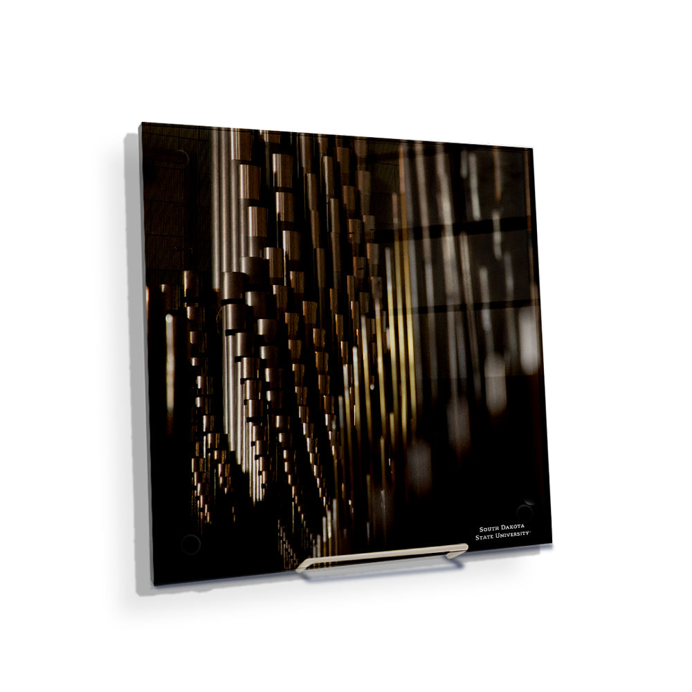 South Dakota State Jackrabbits - Recital Hall - College Wall Art #Canvas