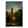 South Dakota State Jackrabbits - Coughlin Campanile Sunset - College Wall Art #Poster