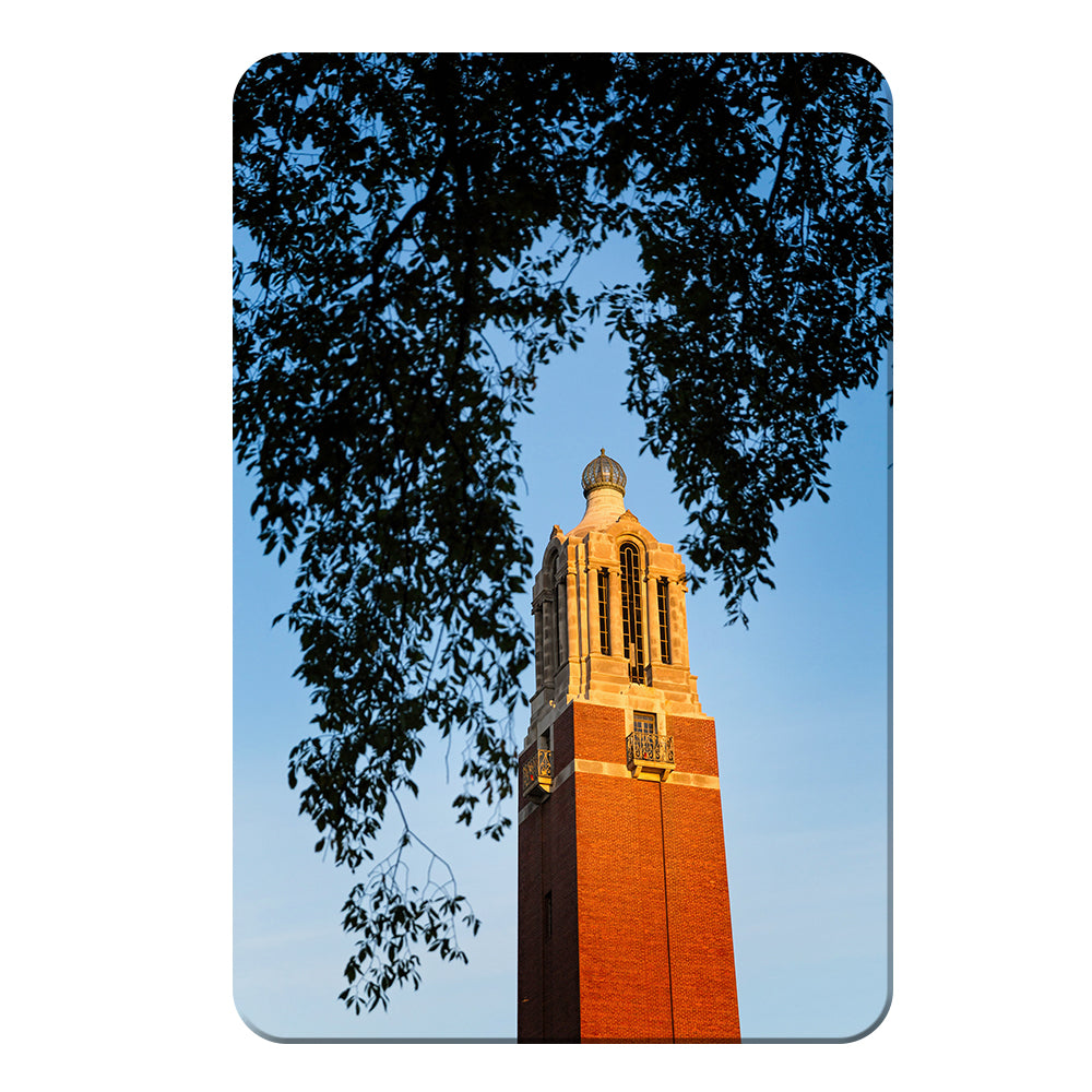 South Dakota State Jackrabbits - Coughlin Campanile - College Wall Art #Canvas