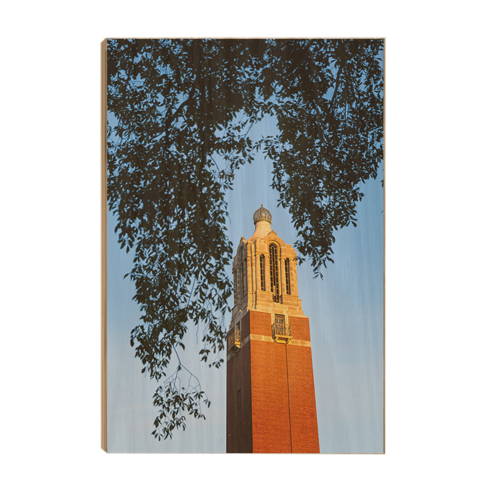 South Dakota State Jackrabbits - Coughlin Campanile - College Wall Art #Canvas