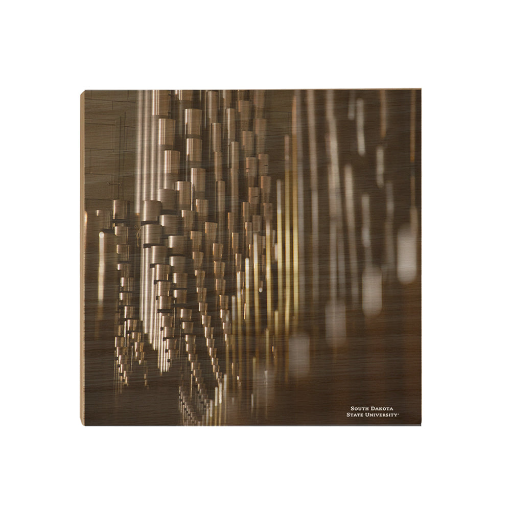 South Dakota State Jackrabbits - Recital Hall - College Wall Art #Canvas